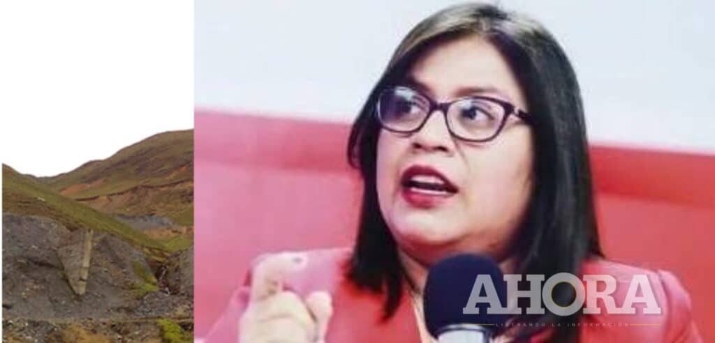 Denuncian que activos mineros busca favorecer a proveedor con S/52 millones