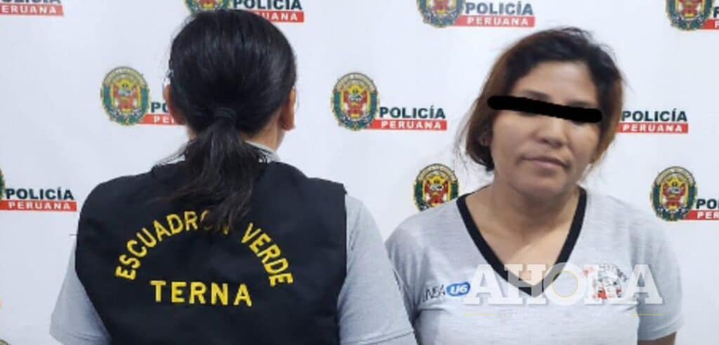 Mujer requisitoriada por falsedad genérica fue detenida por el grupo Terna
