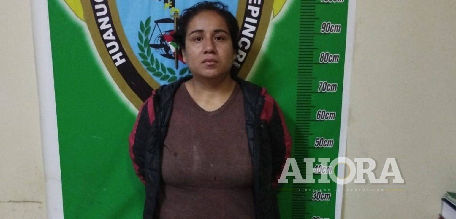 alcaloide de cocaína