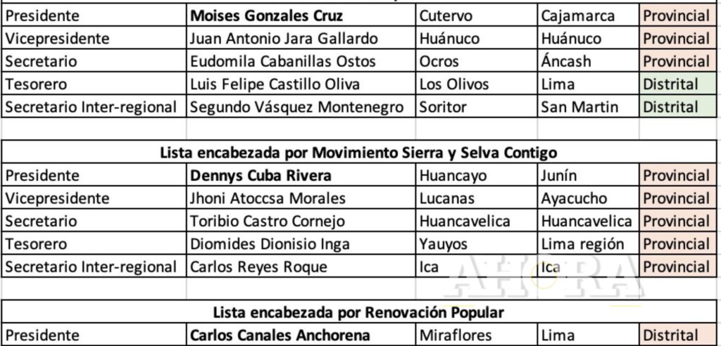 Nueva directiva de la AMPE: Antonio Jara, Diana Plejo y Pujay postulan en listas diferentes