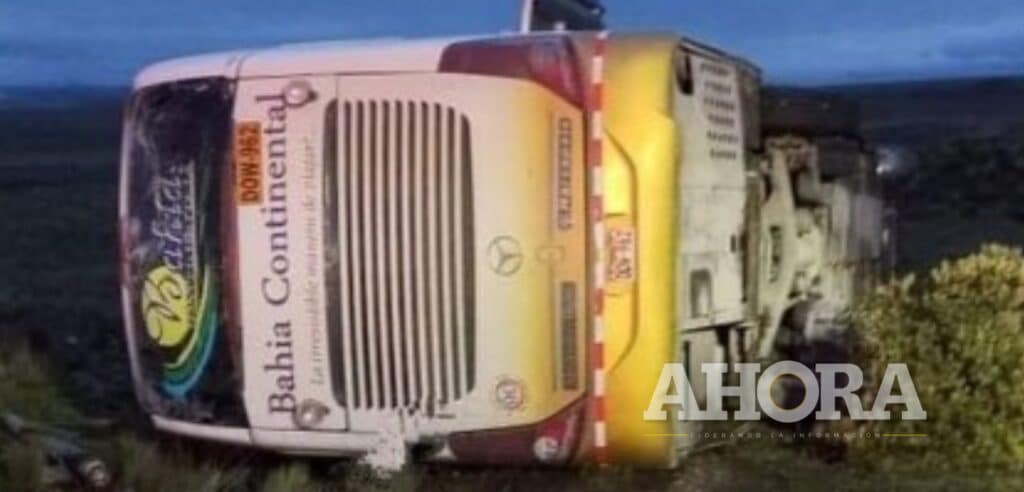 Madre falleció tras proteger a su hija durante despiste y volcadura de bus