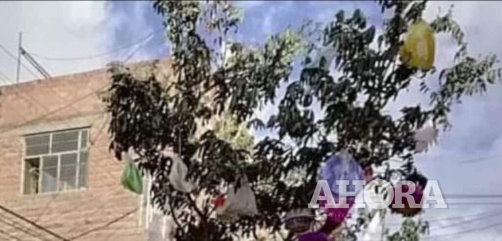 Adornos de carnaval cerca de redes eléctricas: riesgo innecesario, advierte Electrocentro