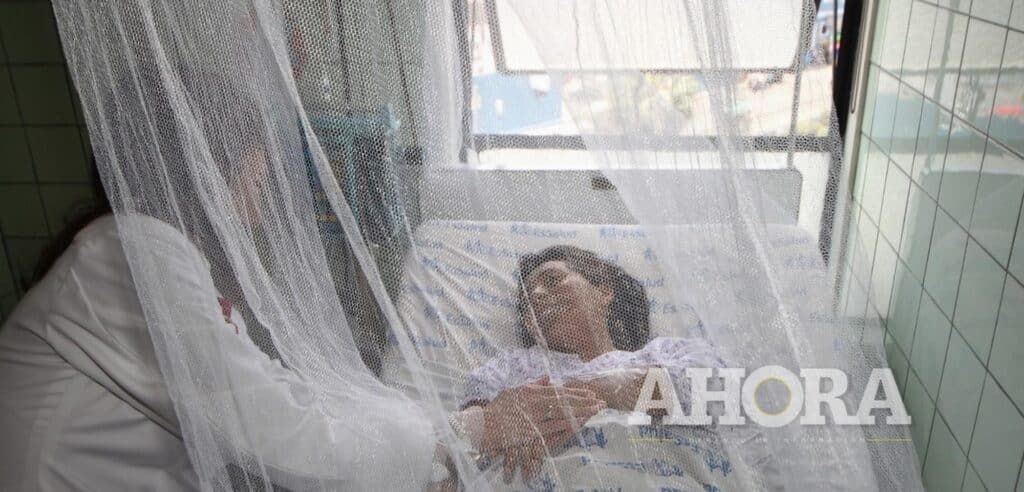 Confirman más de 200 casos de dengue en 14 distritos de Leoncio Prado, Puerto Inca y Huamalíes