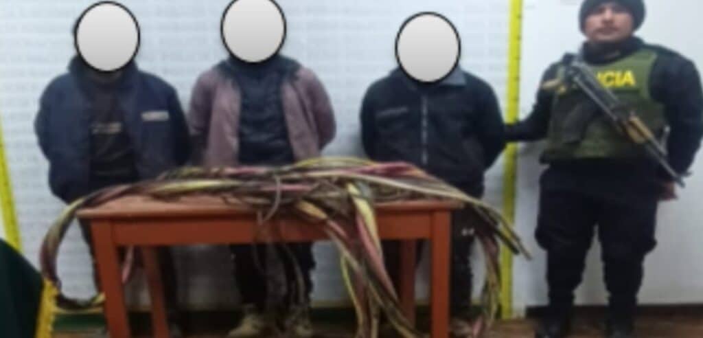 Sujetos fueron sorprendidos infraganti robando cables de minera El Brocal