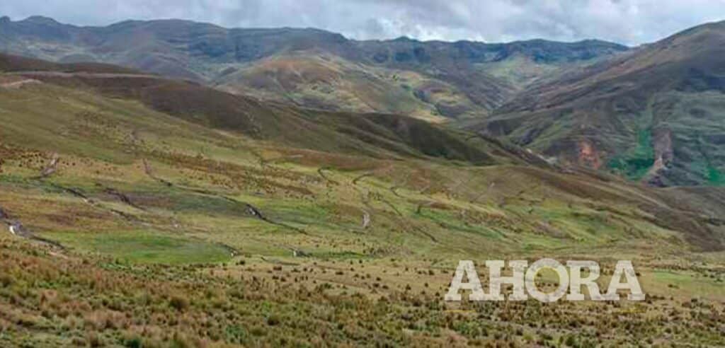 Impulsan siembra y cosecha de agua en la microcuenca de Quinuash