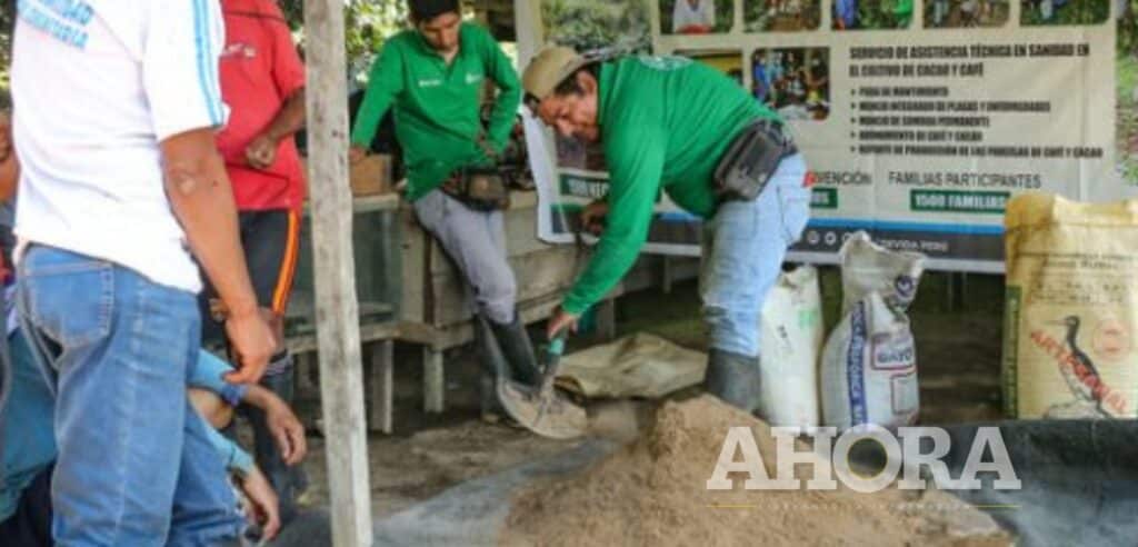 Productores de café y cacao recibirán asistencia técnica para reducir daño por plagas