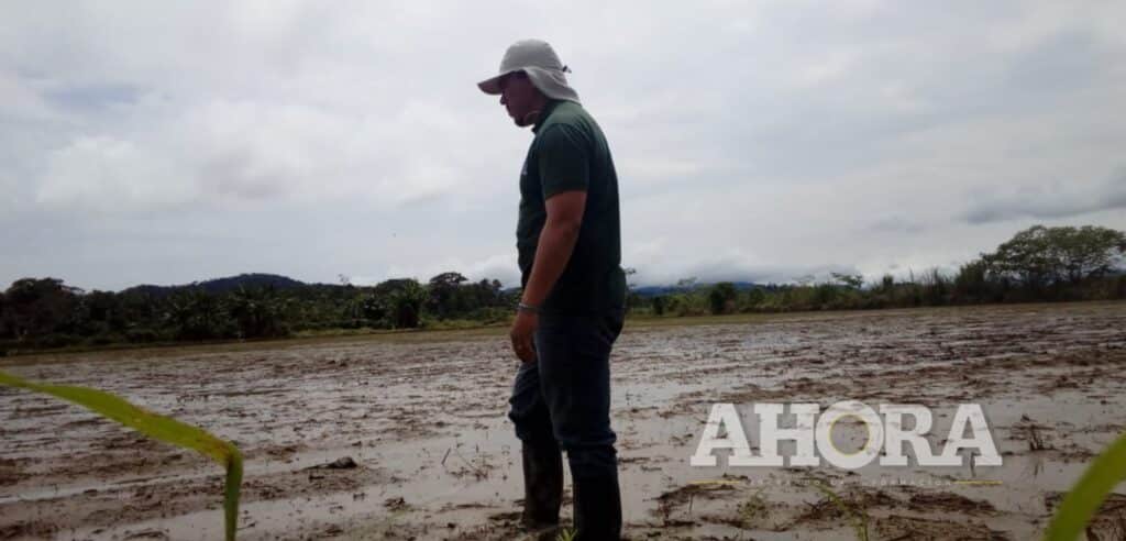 Población en peligro tras falta de seis puentes colgantes en Cholón