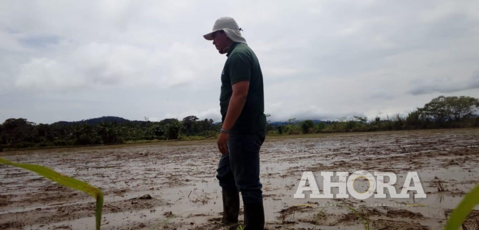Población en peligro tras falta de seis puentes colgantes en Cholón