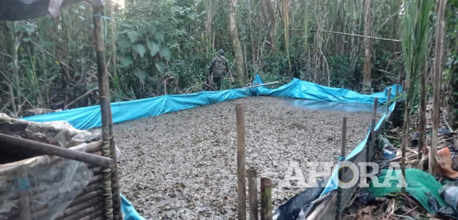 Encuentran laboratorio rústico de fabricación de droga
