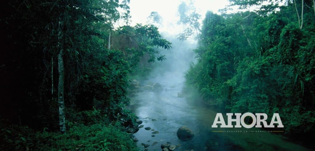 Pampa Hermosa celebra 14 años protegiendo valiosas especies de flora y fauna en el Perú