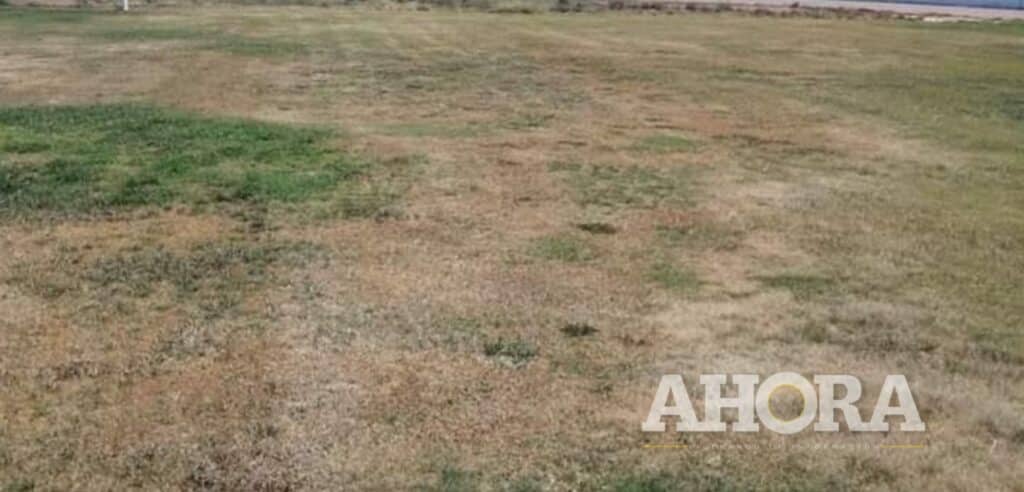 Municipalidad de Huánuco cierra estadio Heraclio Tapia por 45 días