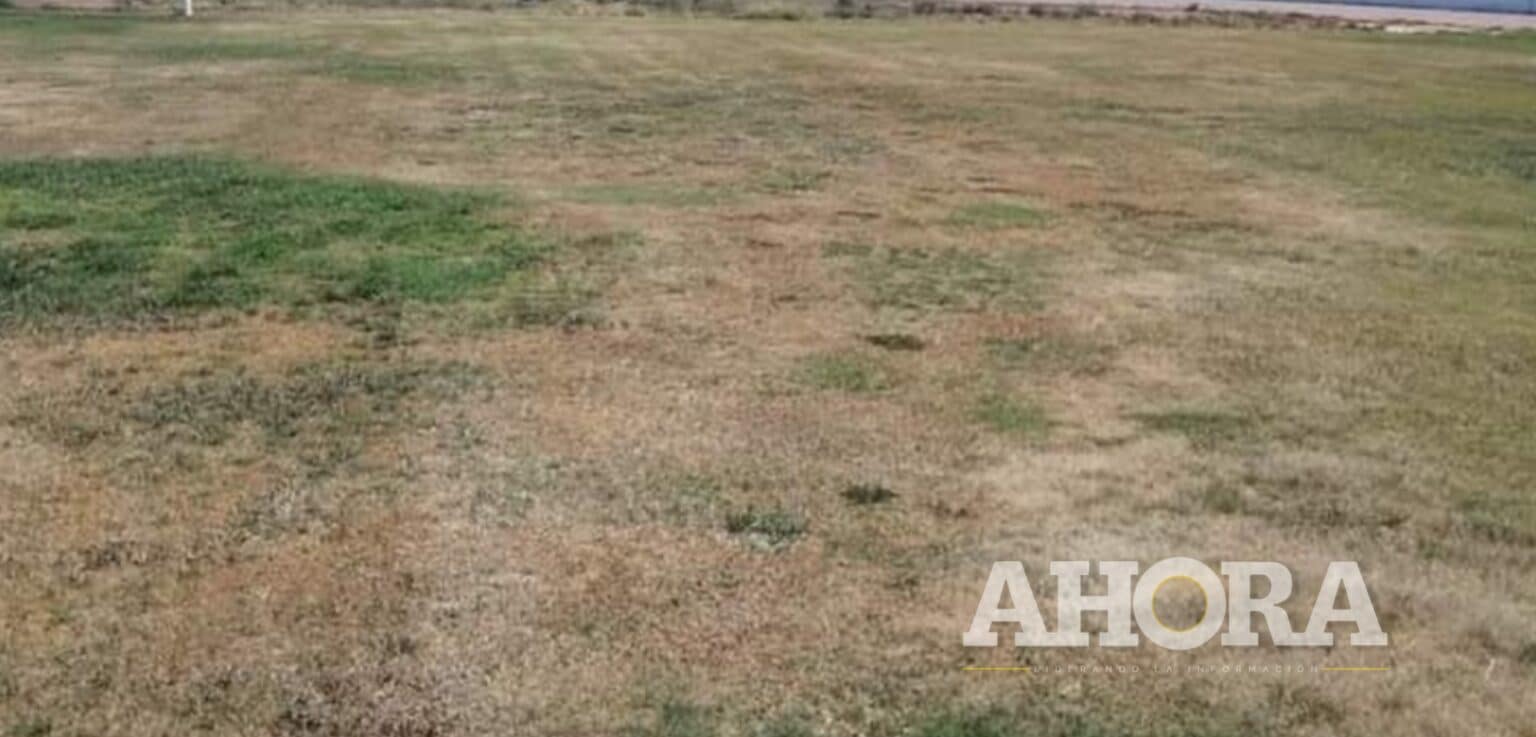 Municipalidad de Huánuco cierra estadio Heraclio Tapia por 45 días