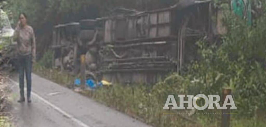 Diez heridos de gravedad deja despiste de bus interprovincial en Leoncio Prado