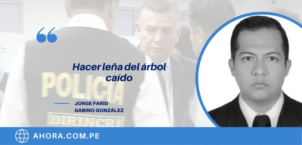 Hacer leña del árbol caído