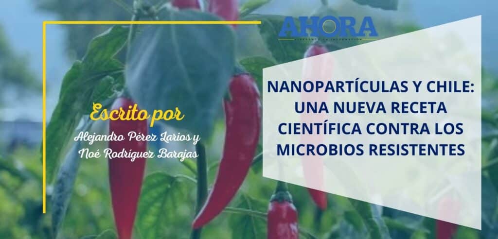Nanopartículas y chile: Una nueva receta científica contra los microbios resistentes