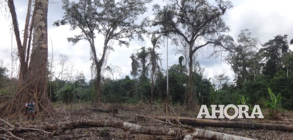 Líderes indígenas de Santa Rosillo de Yanayacu en riesgo debido a invasiones y actividades ilegales
