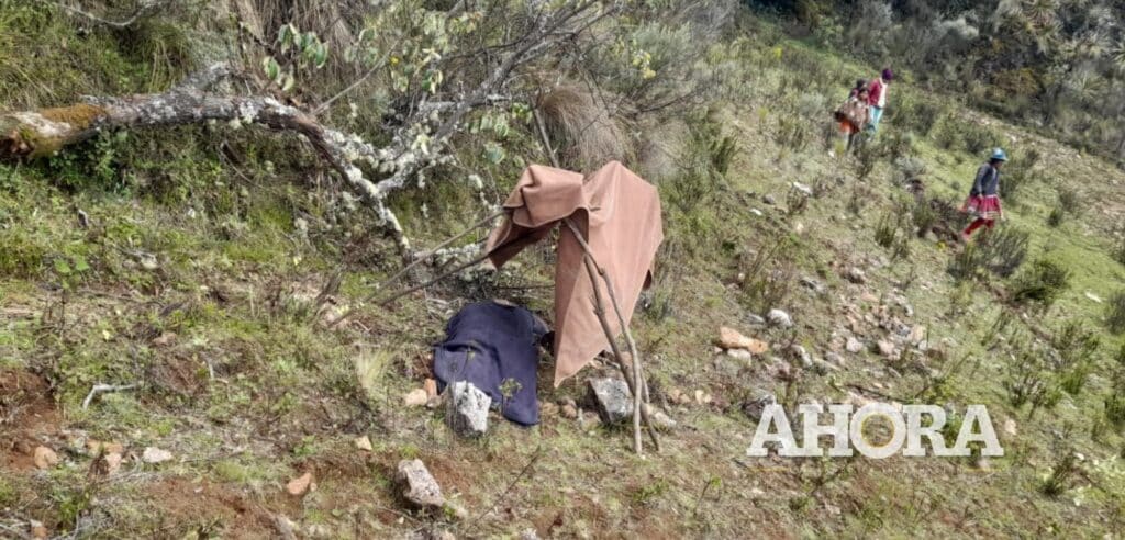 Rama se rompió y niño murió tras caer de árbol en Huacrachuco