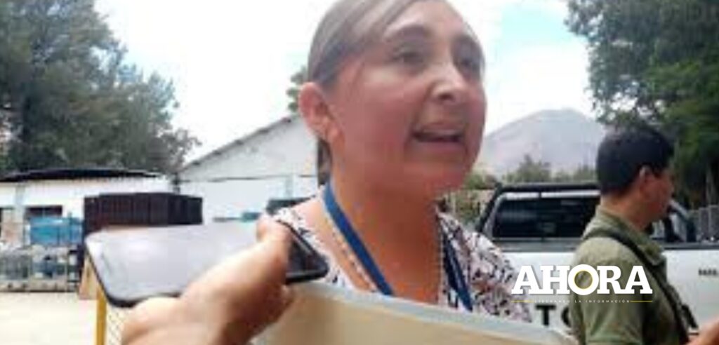 Alcaldesa de Pillco Marca realizará cambios de gerentes este lunes