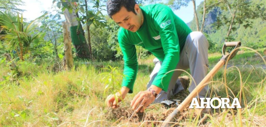 Cinco toneladas de basura fueron recogidas de las riberas del río Huallaga en Tingo María