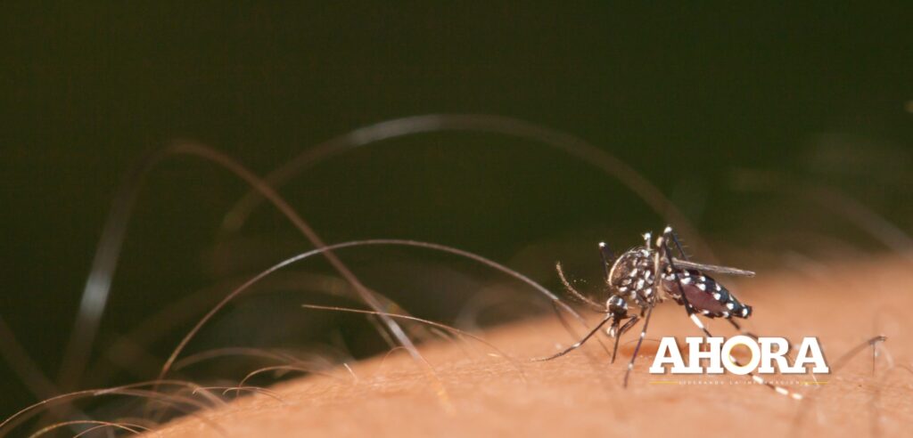 Unheval y municipalidad de Huánuco unen esfuerzos para combatir la propagación de mosquitos