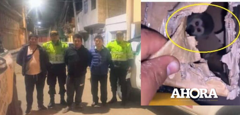 Dictan prisión para sujetos que transportaban ilegalmente monos, loro y guacamayo