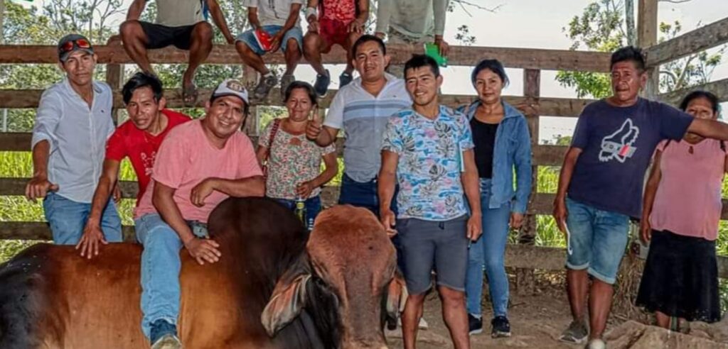 Alcalde de Constitución fomenta mejora de capacidades en el manejo de ganado