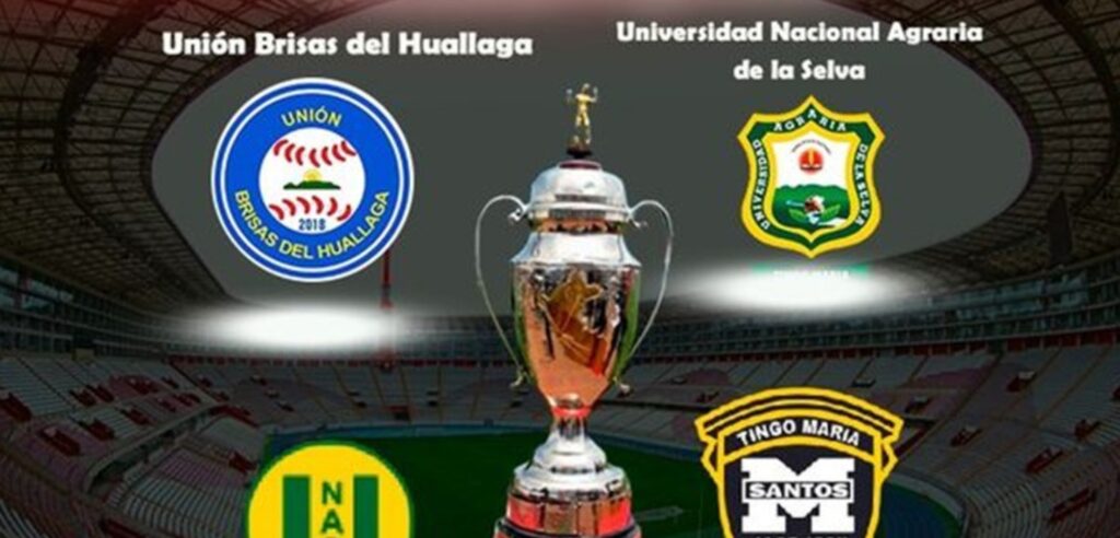 Unión Brisas es el campeón de la primera rueda en Tingo María