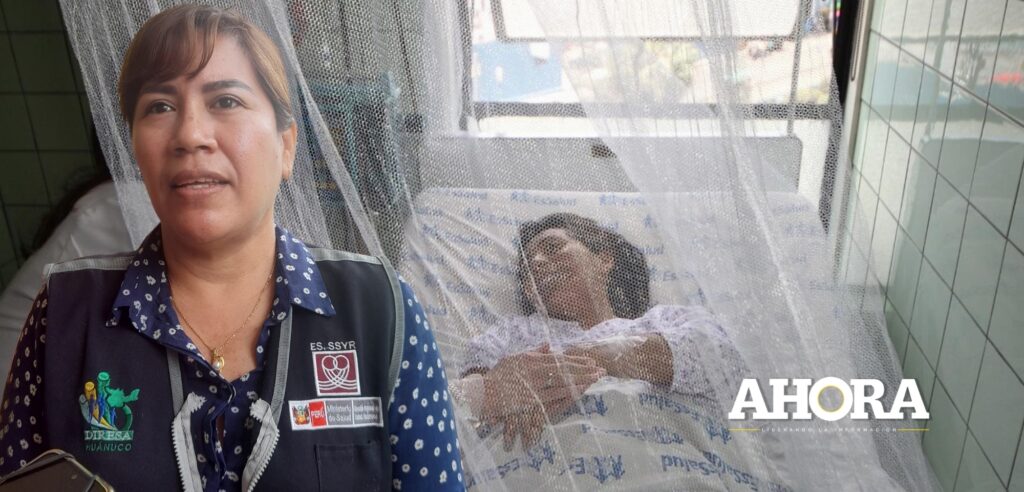 Dengue sigue en aumento: Potracancha, Amarilis y Llicua reportan primeros casos