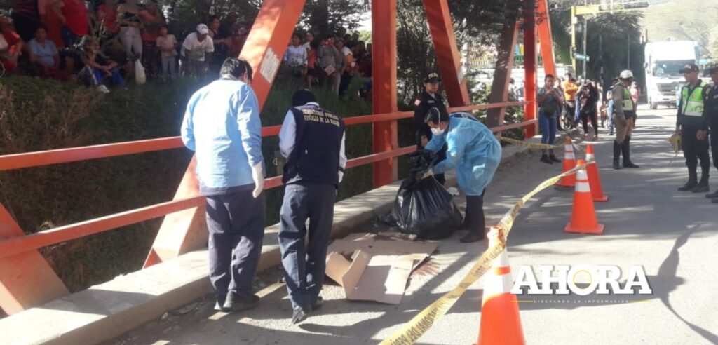 Por salvar a su perrito, cisterna arrolló a anciana en el puente Huallaga