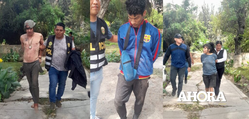 “Los Intocables de Huallaga”: Venezolano, argentino y peruanos vendían droga al menudeo