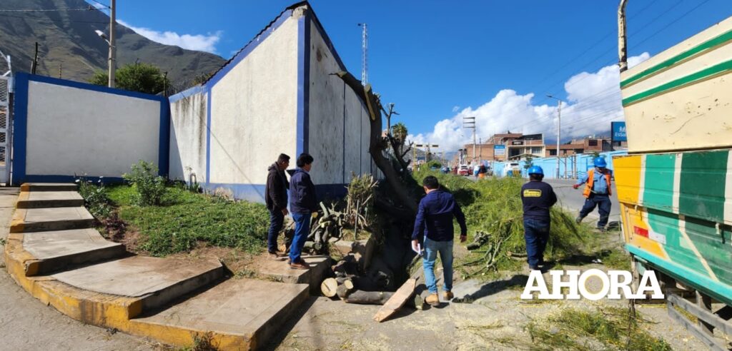 Amarilis multa a Red de Energía del Perú por tala inmoderada de árboles en vía regional