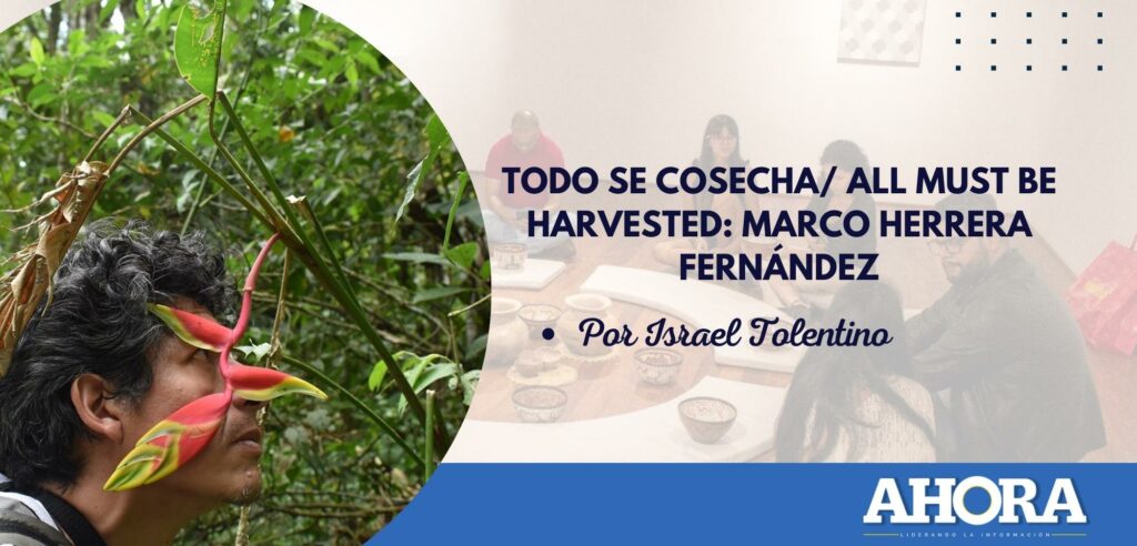 TODO SE COSECHA/ ALL MUST BE HARVESTED: MARCO HERRERA FERNÁNDEZ