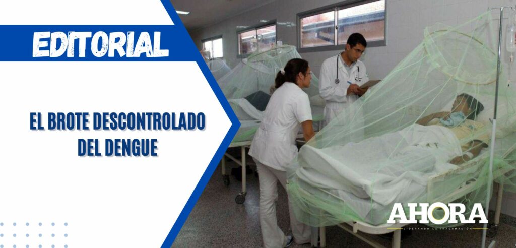 El brote descontrolado del dengue