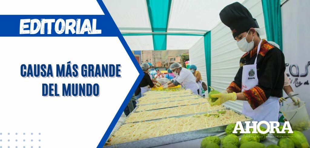 Causa más grande del mundo