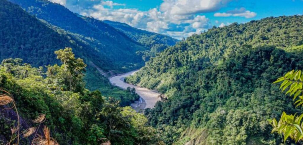 Aprueban zonificación del Área de Conservación Regional Codo del Pozuzo