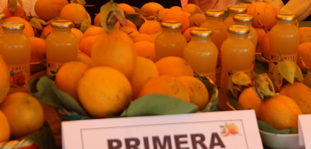 Festival de la Granadilla 2023 concluye con éxito en Oxapampa