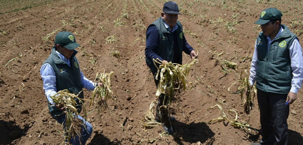 Declaran en emergencia a 131 distritos en 9 regiones por peligro de déficit hídrico