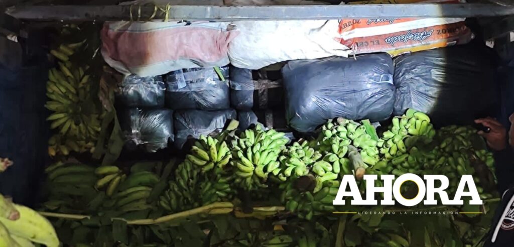 30 paquetes de hojas de coca eran transportados entre plátanos verdes