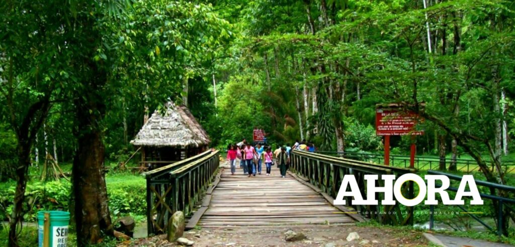 Parque Nacional Tingo María cumple 58 años como área natural protegida por el Estado