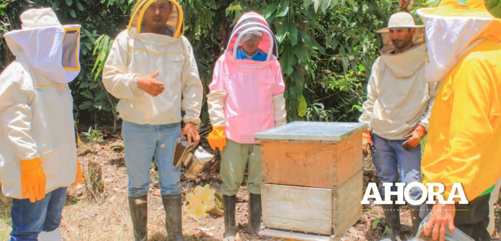 Producción de miel de Leoncio Prado disminuye tras desatarse plaga silenciosa “varroa”