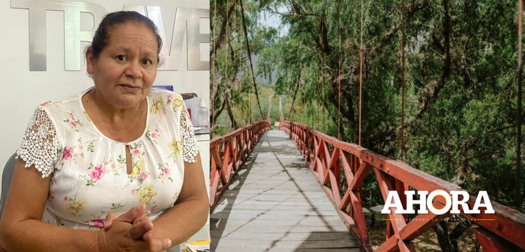 Empresarios y pobladores realizan trabajos de limpieza para habilitar acceso temporal a Kotosh