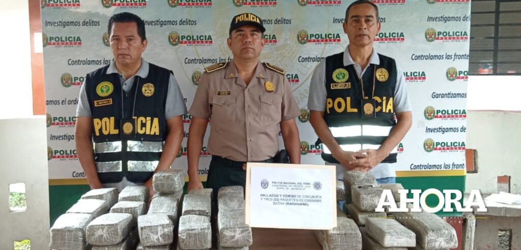 Chofer transportaba más de 28 kilos de cocaína de Tingo María a Lima