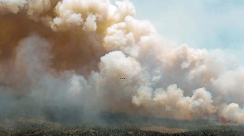 Humo de los incendios