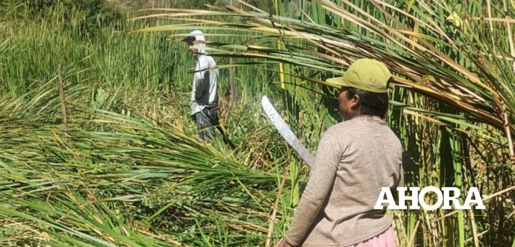 Huachog: Exdirigentes ingresarán a juicio oral por alteración del ambiente y usurpación