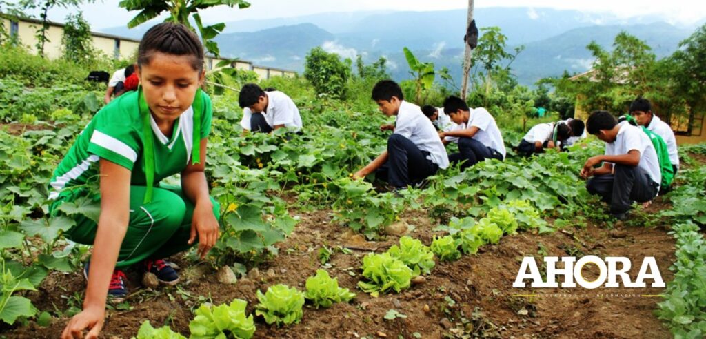Casi 2 mil estudiantes de diez instituciones educativas de la provincia de Leoncio Prado serán beneficiados con el plan de trabajo