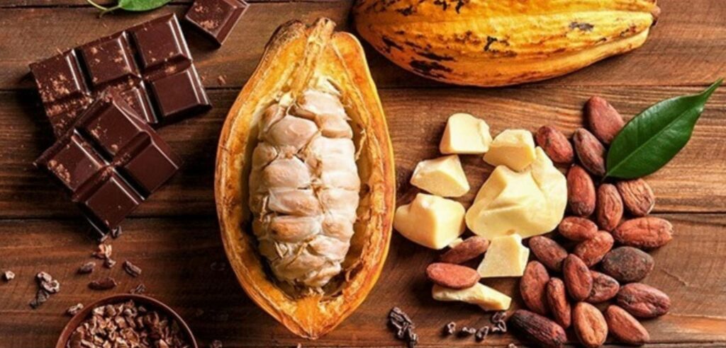 Productores de Mariano Dámaso Beraún participarán de ExpoAmazónica 2023