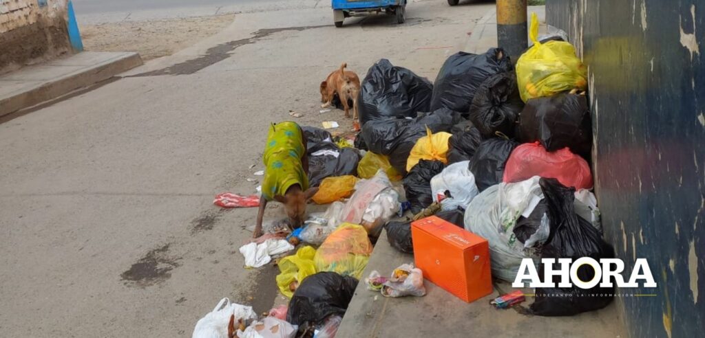 Alcalde busca tercerizar servicio de recojo de basura en centro poblado de Llicua