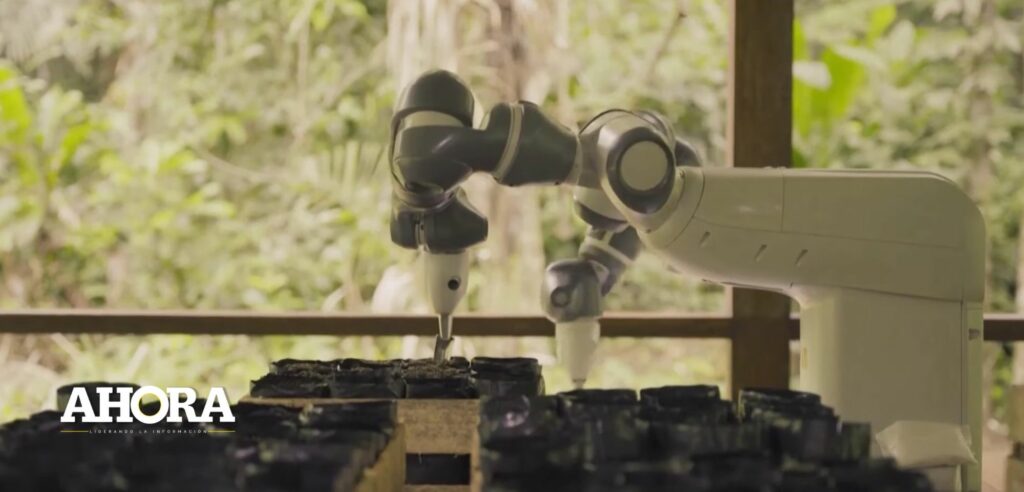 Robotización para la reforestación: Un proyecto piloto en la Amazonia peruana