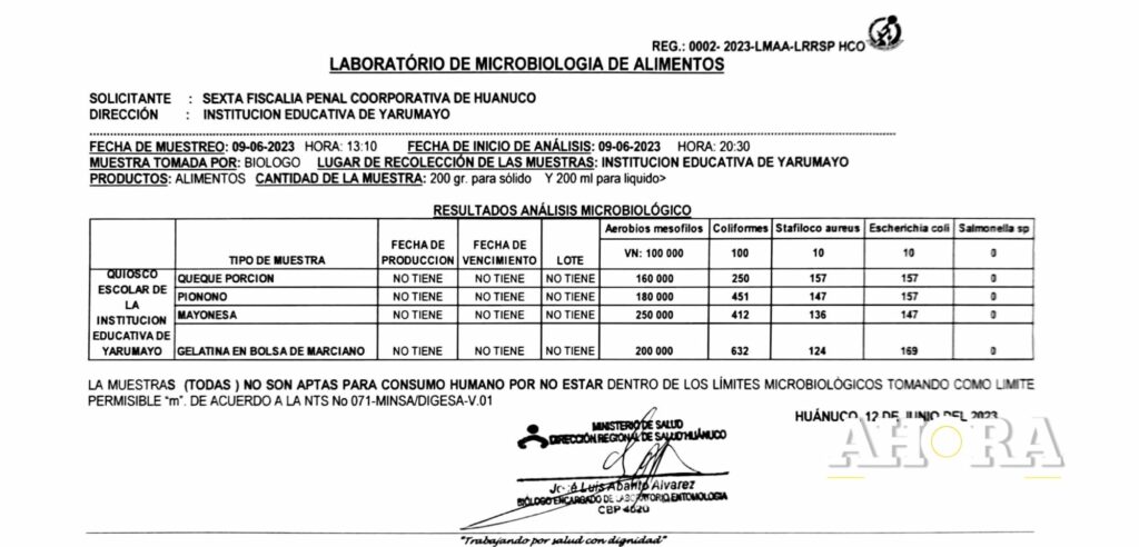 Yarumayo: Gelatinas en bolsa, piononos y mayonesas no serían aptos para el consumo humano