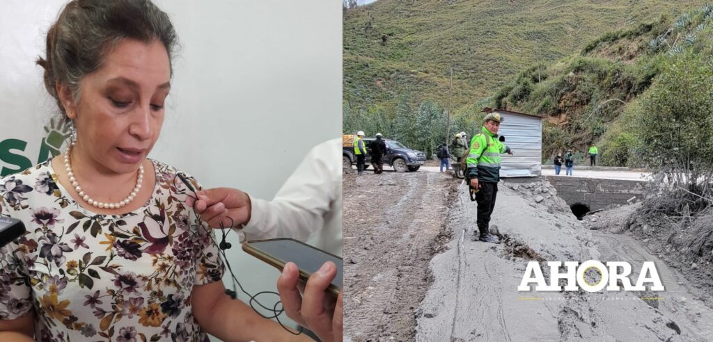 179 casos sospechosos de contaminación con metales pesados en Huánuco, Ambo y Amarilis